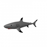 3d model - Shark-Nahomie