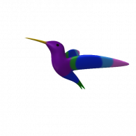 3d model - Colibri-Nahomie