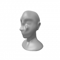 3d model - dump face
