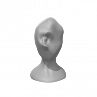 3d model - dump face