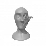 3d model - Half face