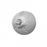 3d model - Snow ball