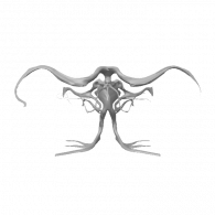 3d model - fart man