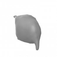 3d model - picacoo
