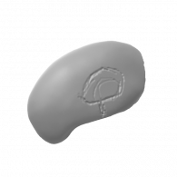 3d model - Skull