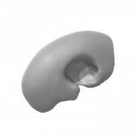 3d model - Skull