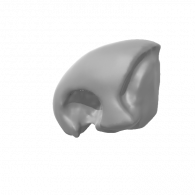 3d model - Skull