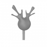 3d model - กวาง
