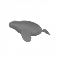 3d model - dugong