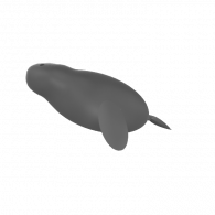 3d model - dugong