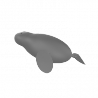 3d model - dugong