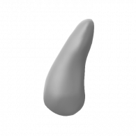 3d model - Body