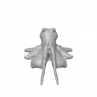 3d model - octopus