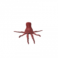 3d model - octopus 