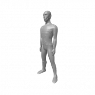 3d model - cuerpo mamado