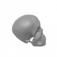 3d model - Holloween Decor
