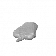 3d model - dad