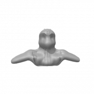 3d model - Face1