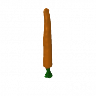 3d model - Ann R.