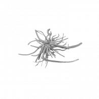 3d model - tree