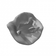 3d model - walnut