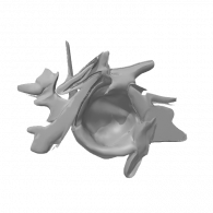 3d model - abstract art 1