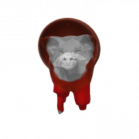 3d model - podrega