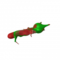 3d model - bug