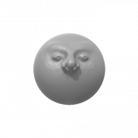 3d model - class assignment face