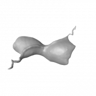 3d model - kelyfos