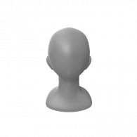3d model - face