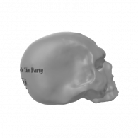 3d model - party- skull