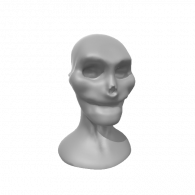 3d model - skull face
