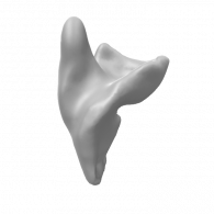 3d model - 1o