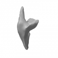 3d model - 2o