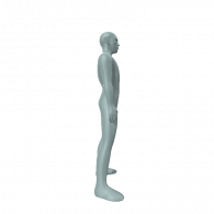 3d model - omulis amikitar 