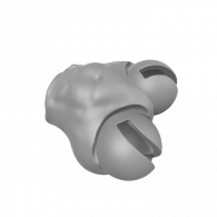 3d model - body 3