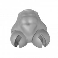 3d model - body 3