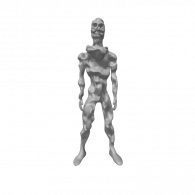 3d model - Body