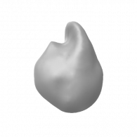 3d model - duck mask