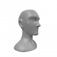 3d model - Face