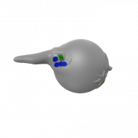 3d model - שקנאי
