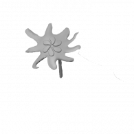 3d model - fleur
