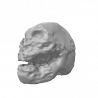 3d model - Skull