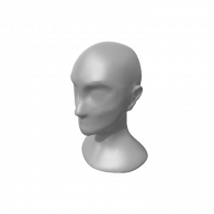 3d model - face