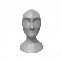 3d model - face