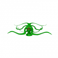 3d model - MEDUSA