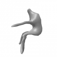 3d model - body