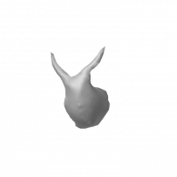 3d model - SNAIL carcas