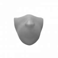 3d model - FaceMask(part1)